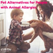 pets for people with allergies