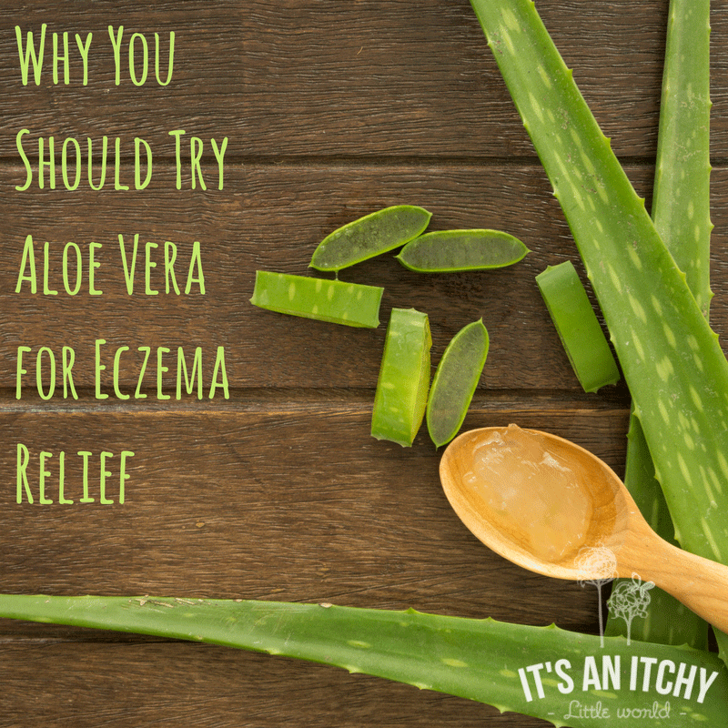You Should Try Aloe Vera for Relief -